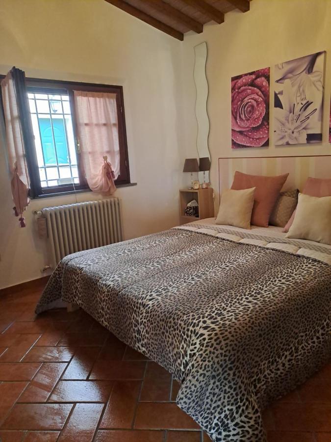 Il Rustichello Apartment Pisa Exterior foto