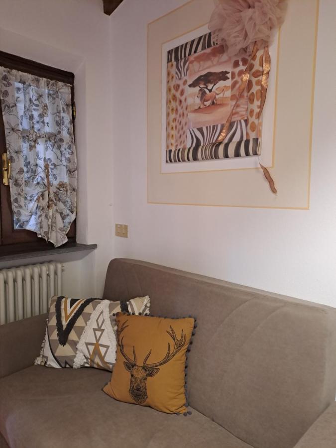 Il Rustichello Apartment Pisa Exterior foto