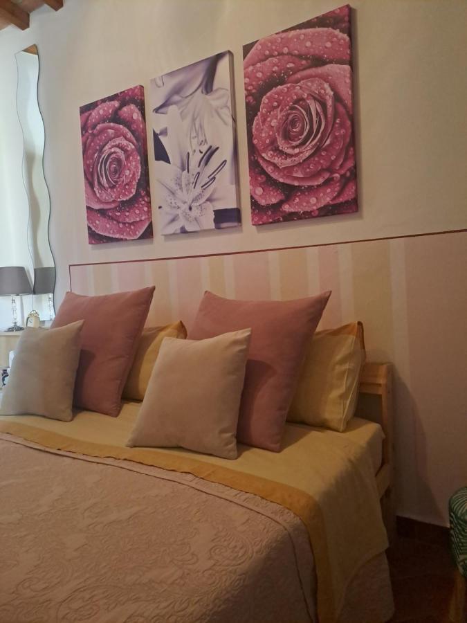 Il Rustichello Apartment Pisa Exterior foto